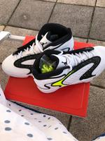 Air Jordan  Größe 42 Rheinland-Pfalz - Mainz Vorschau