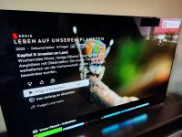 LG OLED 65 Zoll E9 120Hz Dolby Vision Alexa HDMI 2.1 OLED65E97LA Niedersachsen - Asendorf (Nordheide) Vorschau