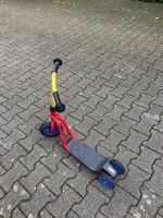 Puky Roller zu verkaufen Baden-Württemberg - Karlsruhe Vorschau