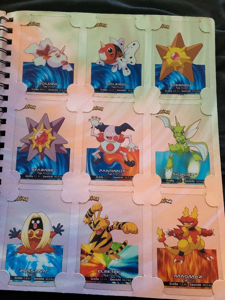 Pokemon Lamincards Collection 1 Generation in Potsdam