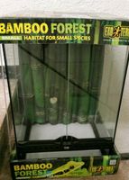 Exo Terra Bamboo Forest Terrarium 30x30x45 Nordrhein-Westfalen - Mönchengladbach Vorschau