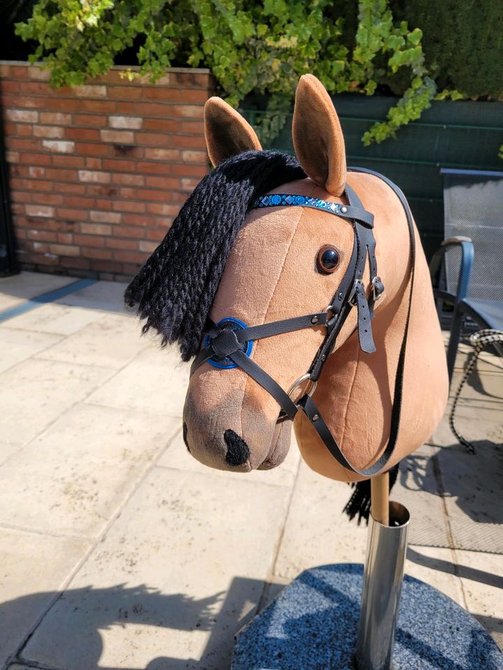 Hobby Horse mit Zubehör in Kerpen