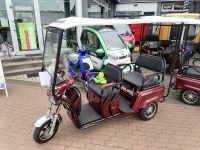 Elektro Rikscha TUK TUK Elektroroller 3 Rad E-Frosch Roller APE TUCK TUCK Stormborn Geco EG VOLTA VT5 BIG Cargo TUKTUK Lastenrad Lastendreirad APE Piaggio VM5 VOLTA GECO Stormborn Mahindra Müritz - Landkreis - Waren (Müritz) Vorschau