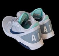 Nike Air Max Wildcard Allcourt Damen 40,5 Sachsen - Bobritzsch-Hilbersdorf Vorschau