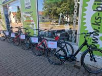 Gepida Reptila 1000 Bosch Active 400Wh E-Bike Pedelec Nordrhein-Westfalen - Bottrop Vorschau