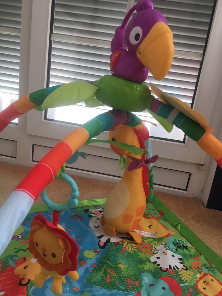 Spielbogen Fisher Price Jungle in Ratingen