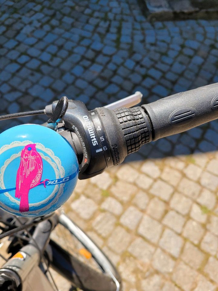 Fahrrad 18" Mädchen /Damen in Heidenau