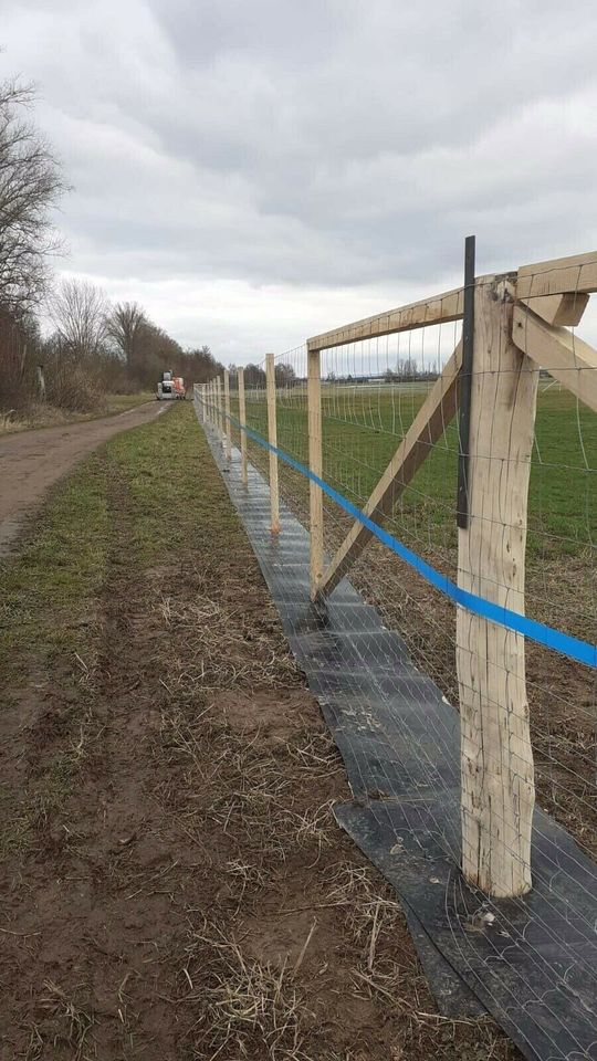 Zaunbau Zaun Doppelstab Stabgitter Wildschutz Amphibienzaun in Groß-Umstadt