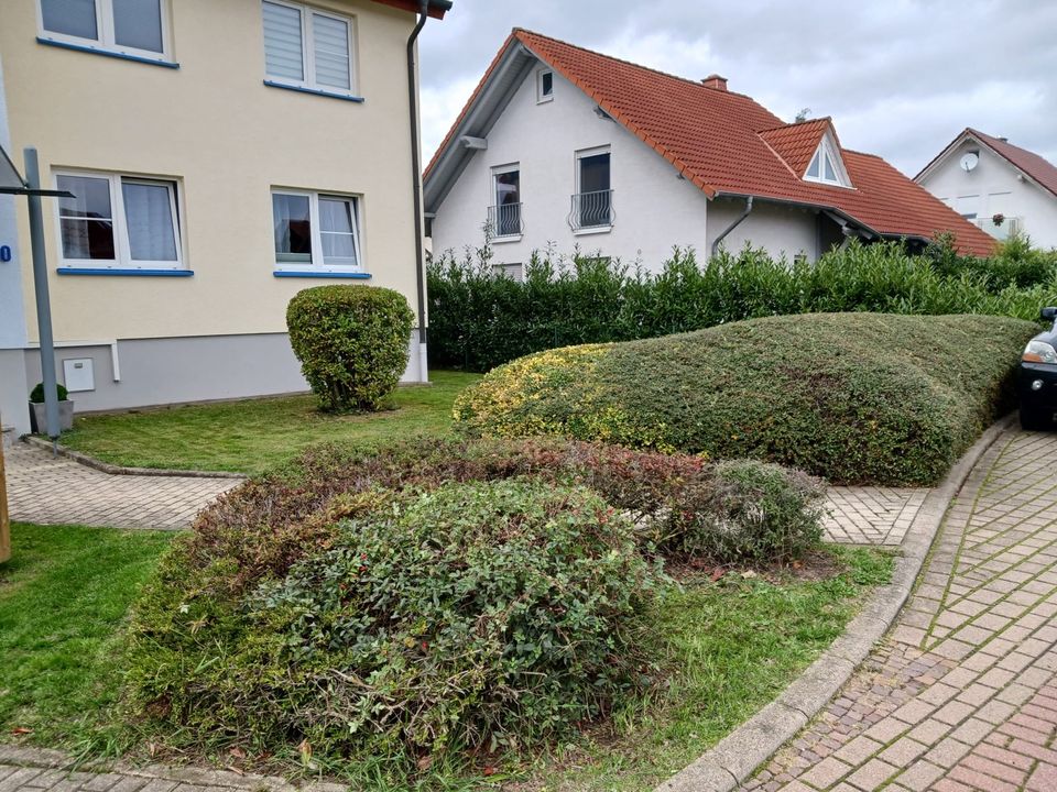 Gartenservice- Gartenpflege-Hausmeisterservice in Bad Emstal