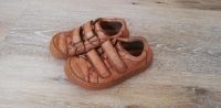 Froddo Barefoot Lederschuhe braun Hessen - Fernwald Vorschau