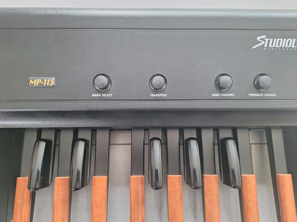 Studiologic MP-113 (MIDI Fusspedal) in Ellhofen