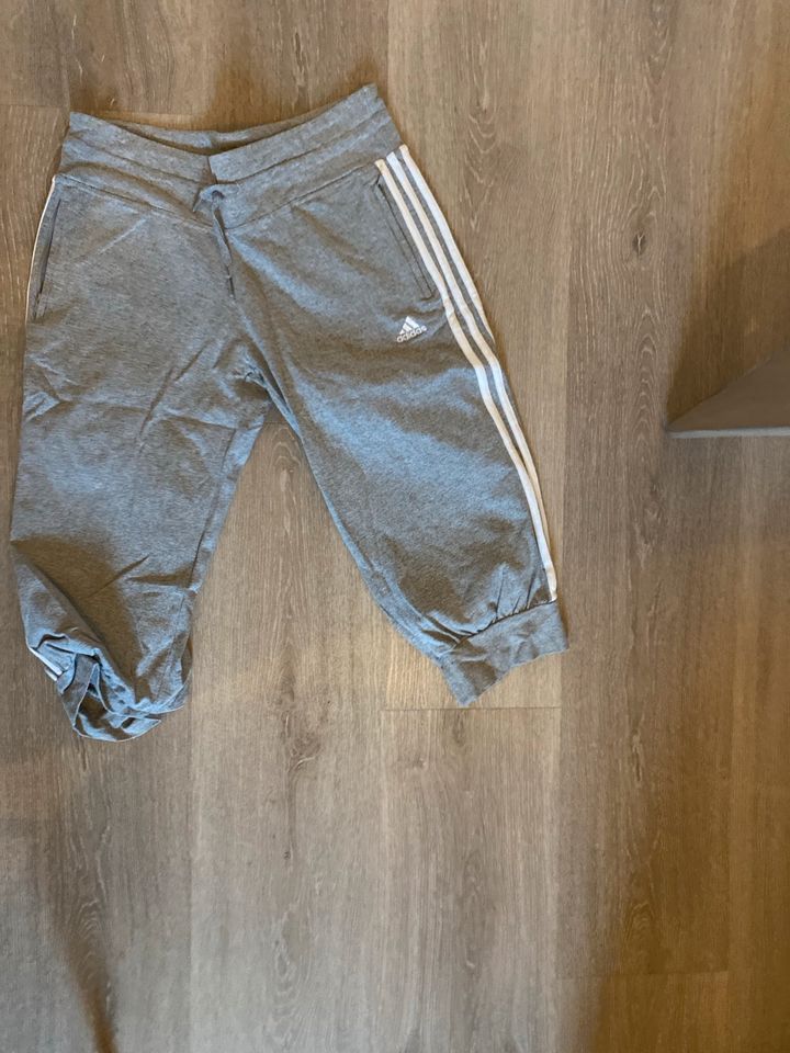 Adidas Jogginghose kurz Damen 40 in Aachen