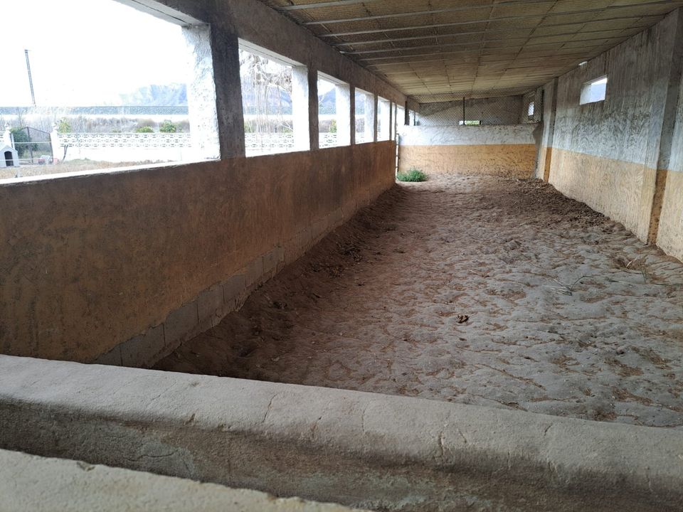 Landhaus mit Lizenz für Pferde in Orihuela (Alicante) mit Gästeapartment, Pool, Carport und Solar Anlage, nur 25 Minuten vom Strand, Costa Blanca / Spanien in Oyten