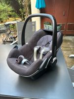 Maxi Cosi Babysitz Berlin - Reinickendorf Vorschau