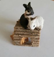 Schleich Haustiere Hase Kaninchen Adventskalender Sachsen - Markkleeberg Vorschau