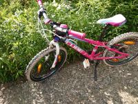 Cube Race 20 Zoll pink Altona - Hamburg Rissen Vorschau