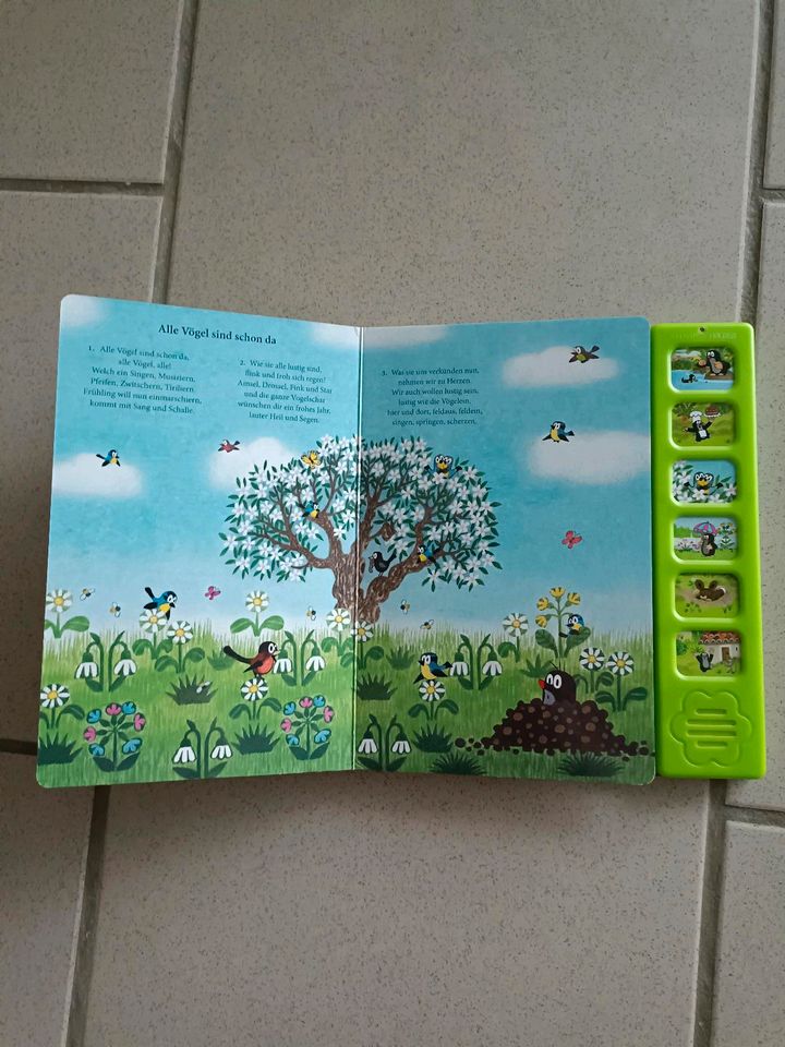 Kinderbuch mit Musik in Siek