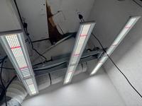 Bloom plus led grow Lampe 300 Watt! Niedersachsen - Aurich Vorschau