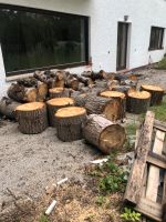 Brennholz gefällt 02/2023 München - Allach-Untermenzing Vorschau