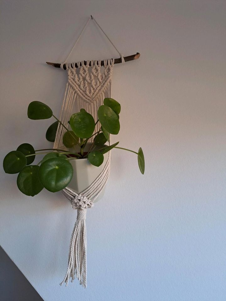 Makramee Blumenampel Wandbehang Wanddeko Boho Geschenkidee in Ebstorf