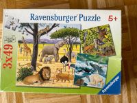 Verschiedene Ravensburger Pussle 3x49 (5+) Hessen - Hofgeismar Vorschau