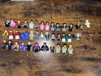 Lego Harry Potter Figuren Sammlung Nordrhein-Westfalen - Bornheim Vorschau