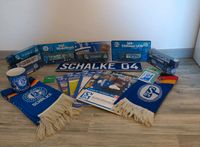 Schalke 04 Fan Set - 20 Teile Sachsen-Anhalt - Langenstein Vorschau