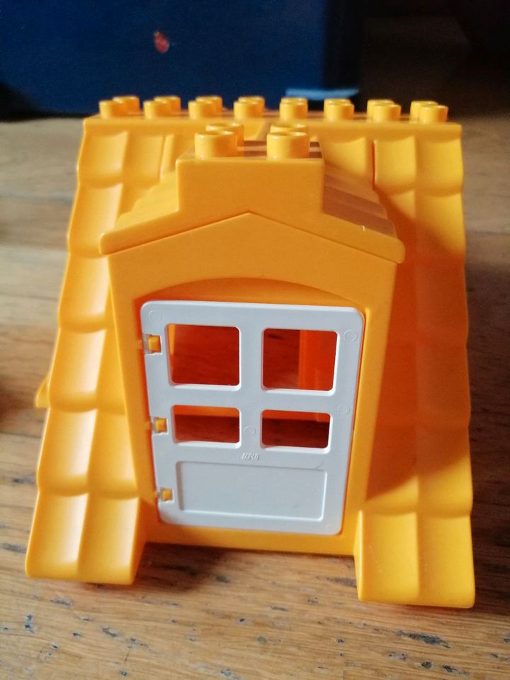 Lego Duplo Platten-Tiere-Fenster usw. in Dillingen (Saar)