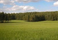 Grassilage, Silo, Silofutter Bayern - Tittling Vorschau