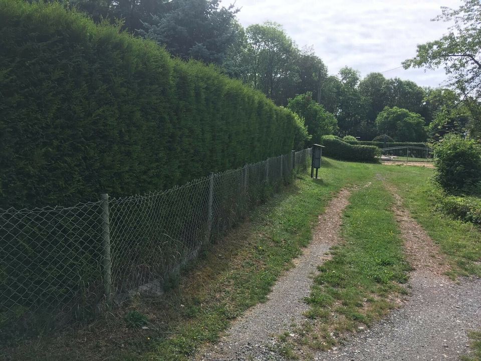 Baumfällung Hecken Baum- und Strauchschnitt Entsorgung in Guthmannshausen