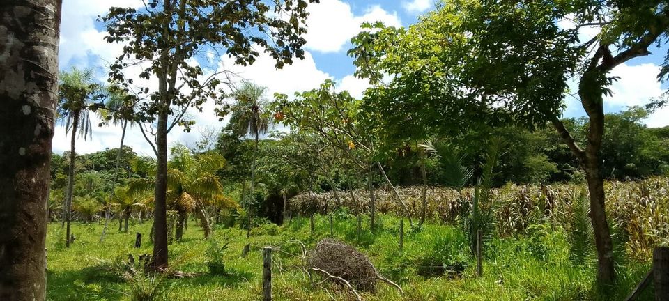 Bolivien Land zu Verkaufen Auswandern in Schönhorst