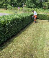 Baumfällungen Gartenpflege Saarland - Schmelz Vorschau