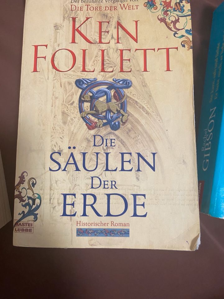 Verschiedene Bücher/ Romane in Stuttgart