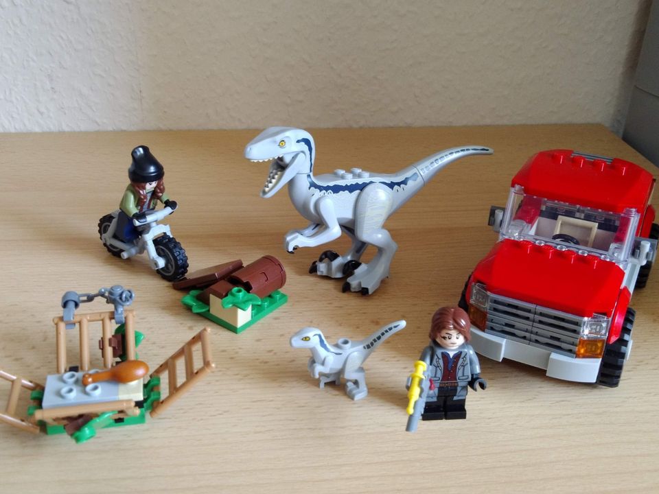 Lego 76946   Blue Beta in der Velociraptor Falle in Berlin