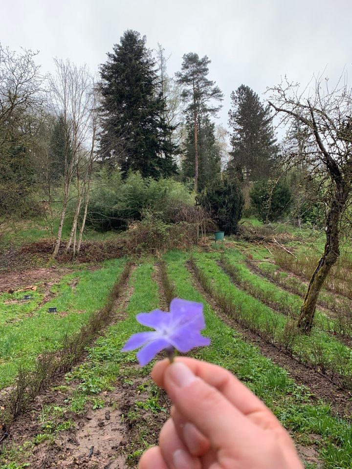 Friedliches Gartengrundstück in Geradstetten in Fellbach