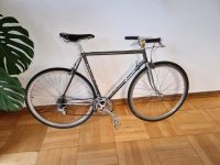 Enik Iseran Custom Speedbike, Rennrad, Shimano 600/Ultegra Baden-Württemberg - Mannheim Vorschau