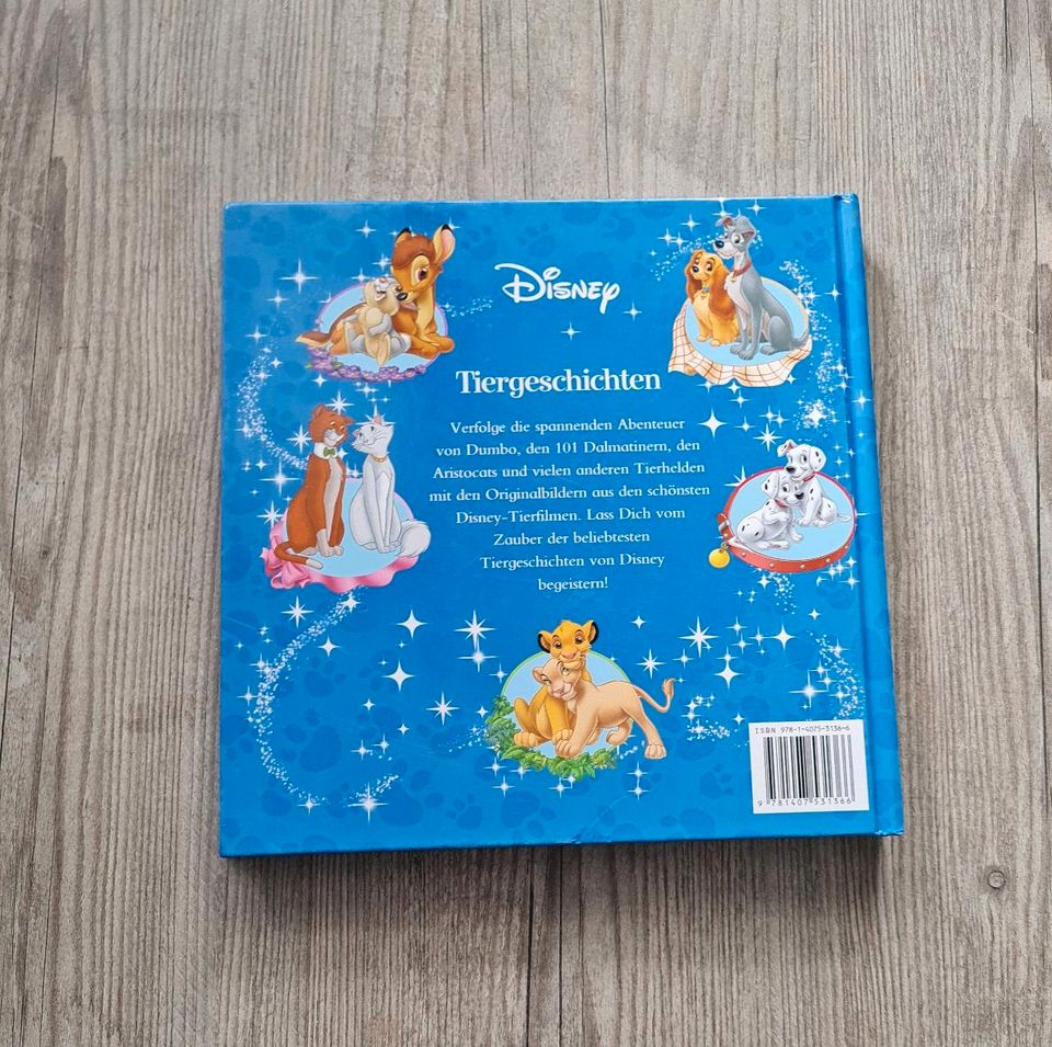 Disney Buch Geschichten Dumbo König der Löwen Bambie Susi Strolch in Wartenberg