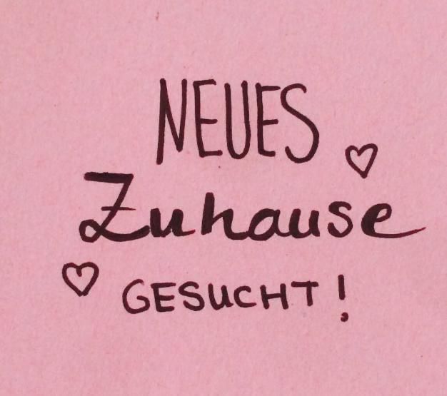 Wir suchen eine 4-ZKB-Wohnung als WG in Kassel in Fuldatal