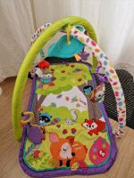 Fisher Price Spielbogen Waldfreunde Nordrhein-Westfalen - Detmold Vorschau