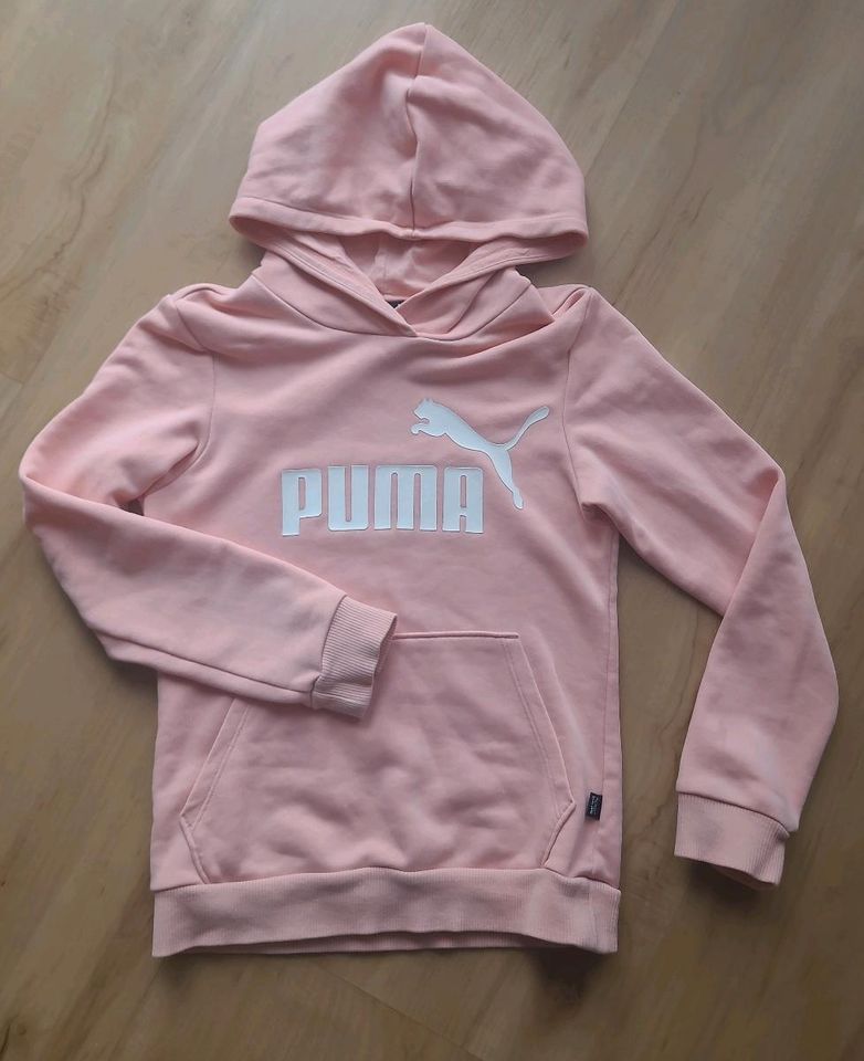 Sweatshirt Puma 140 hoodie in Schauenburg