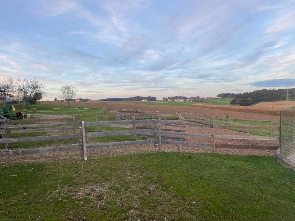 Unterstellplatz Shetty in Zeilarn