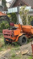 Dumper Thwaites Baden-Württemberg - Großrinderfeld Vorschau