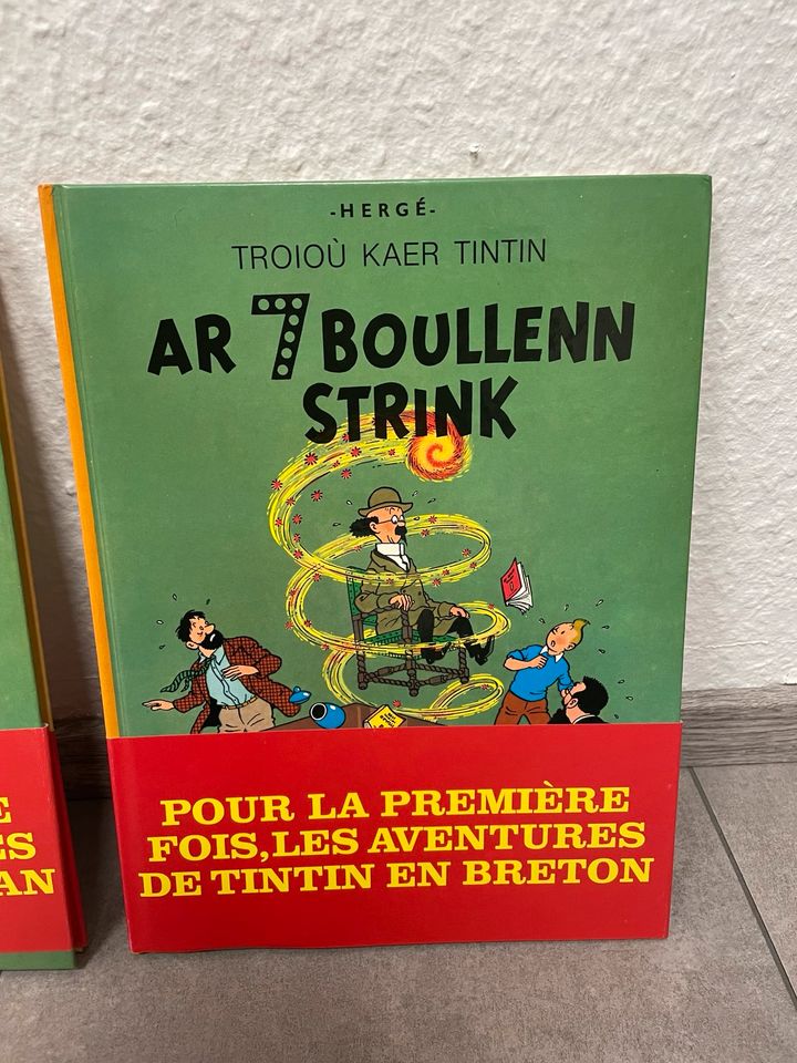 Tintin Tim und Struppi: Bretonisch und Occitan in Meerbusch