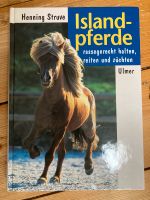 Islandpferde von Henning Struve - sehr guter Zustand Rheinland-Pfalz - Fuchshofen Vorschau