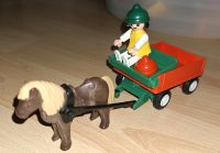 Playmobil 3583, Pferd, Kutsche, Pony, Kind Sachsen - Arnsdorf Vorschau