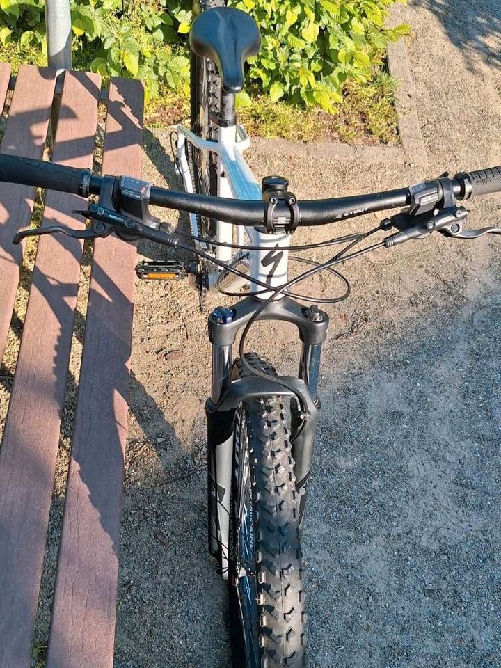 Fahrrad "SPECIALIZED" in Senftenberg