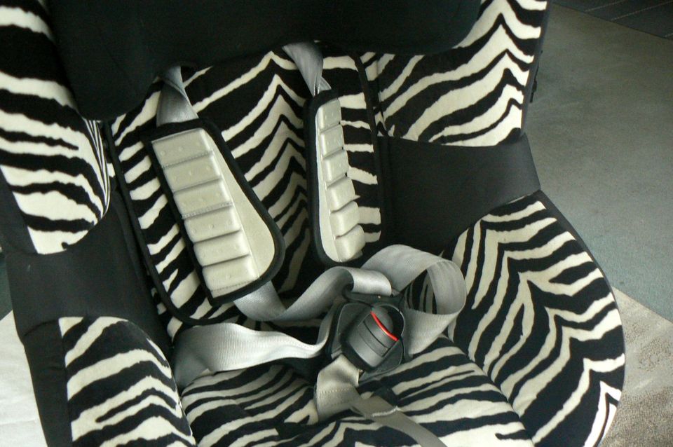 Autositz - Kindersitz bis 18 kg - Römer Britax -Z ebra - Dualfix in Remagen