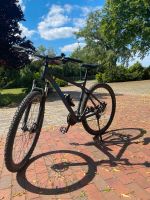 Bulls Raptor Mountainbike 29 Zoll Niedersachsen - Weyhe Vorschau