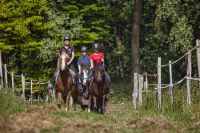 Kinder Reitunterricht, Reitstunden, Longenstunden, Reiten lernen Bayern - Moosach (Landkreis Ebersberg) Vorschau