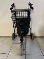 Rollator Altenpflege Niedersachsen - Göttingen Vorschau